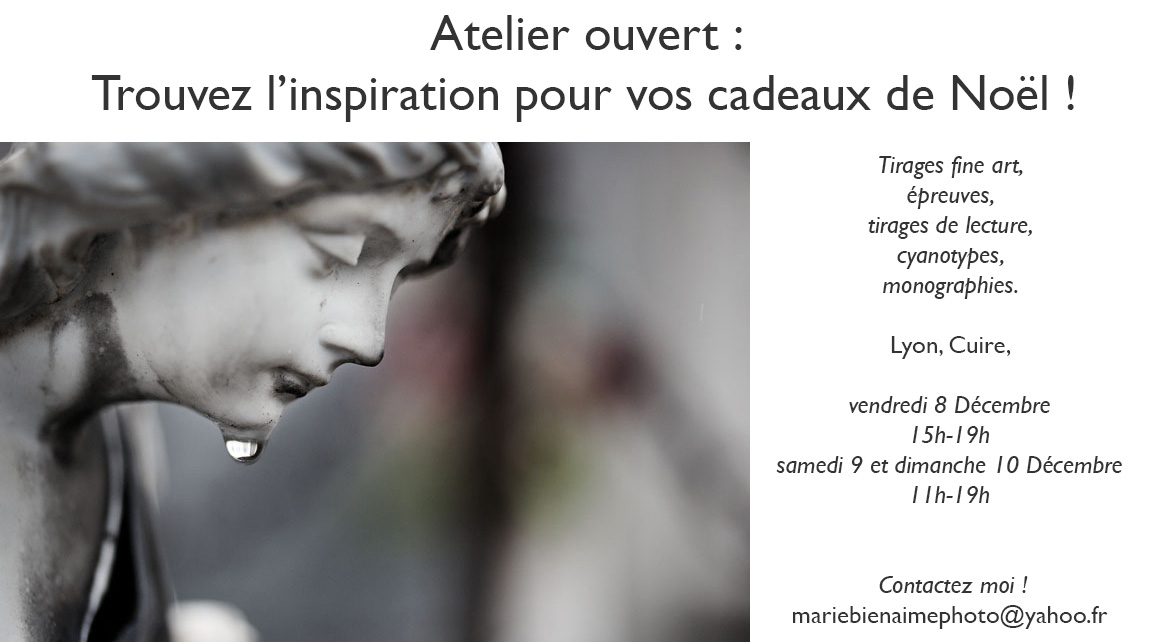 cadeaux de noël, offrez de l'art, tirages photographiques, fine art, expositions, evenement, atelier, offrez une photo, marie bienaime, photographe professionnel lyon
