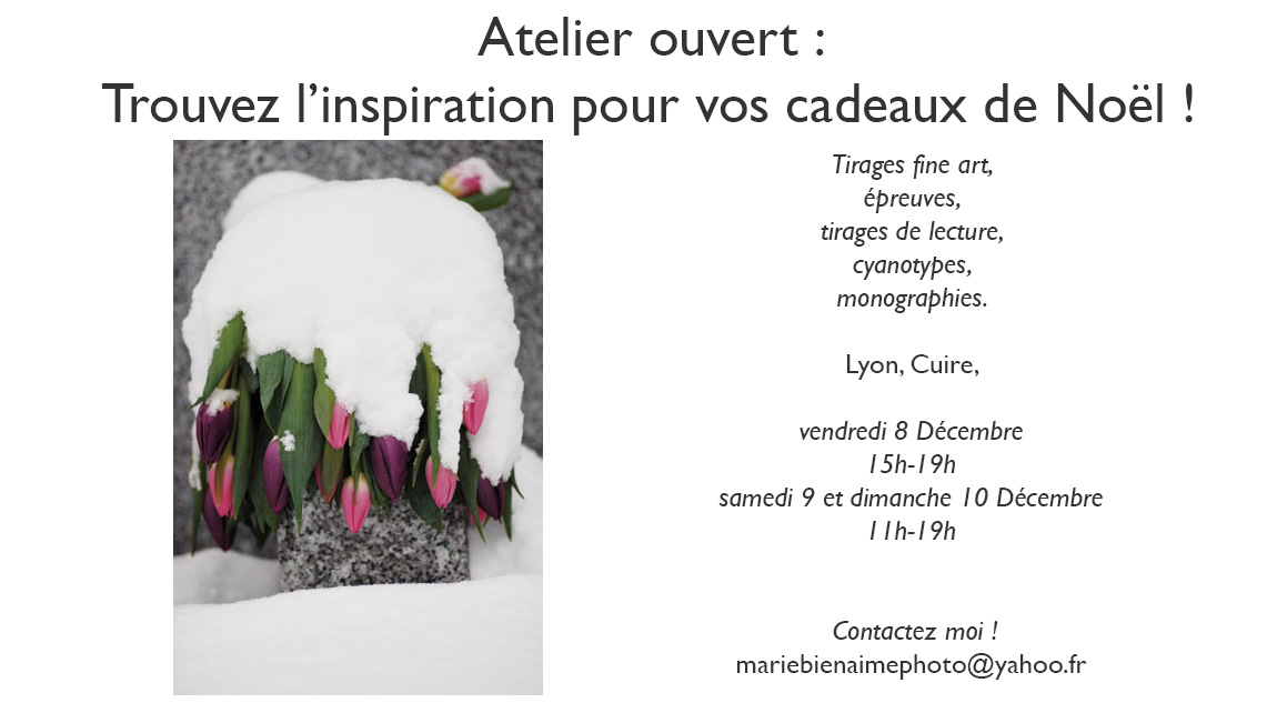cadeaux de noël, offrez de l'art, tirages photographiques, fine art, expositions, evenement, atelier, offrez une photo, marie bienaime, photographe professionnel lyon