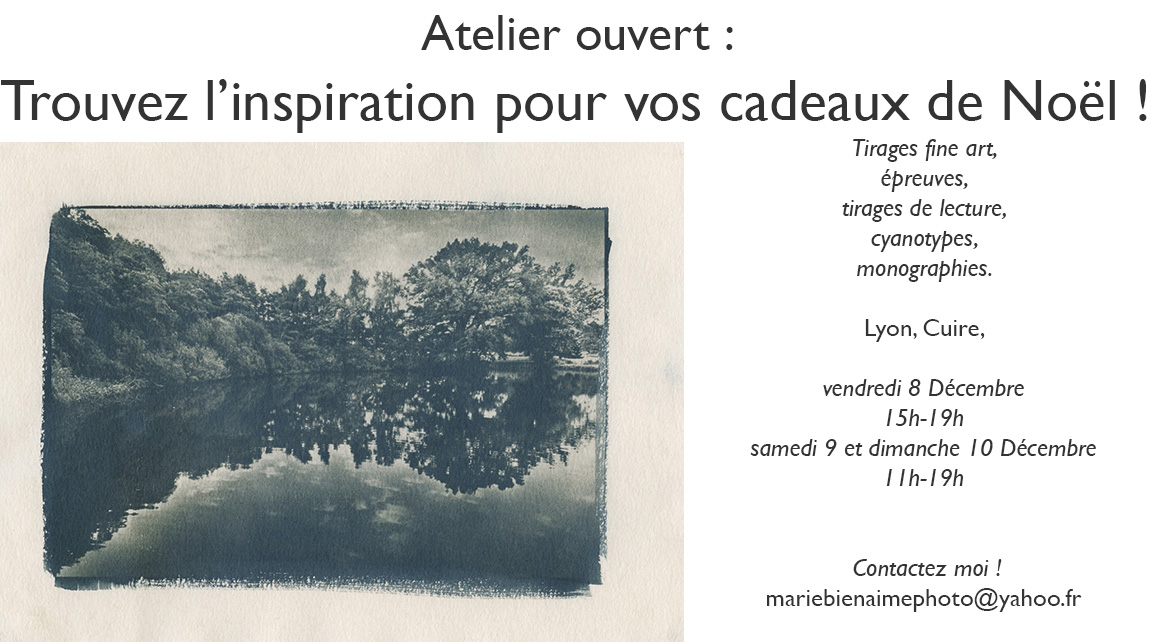 cadeaux de noël, offrez de l'art, tirages photographiques, fine art, expositions, evenement, atelier, offrez une photo, marie bienaime, photographe professionnel lyon
