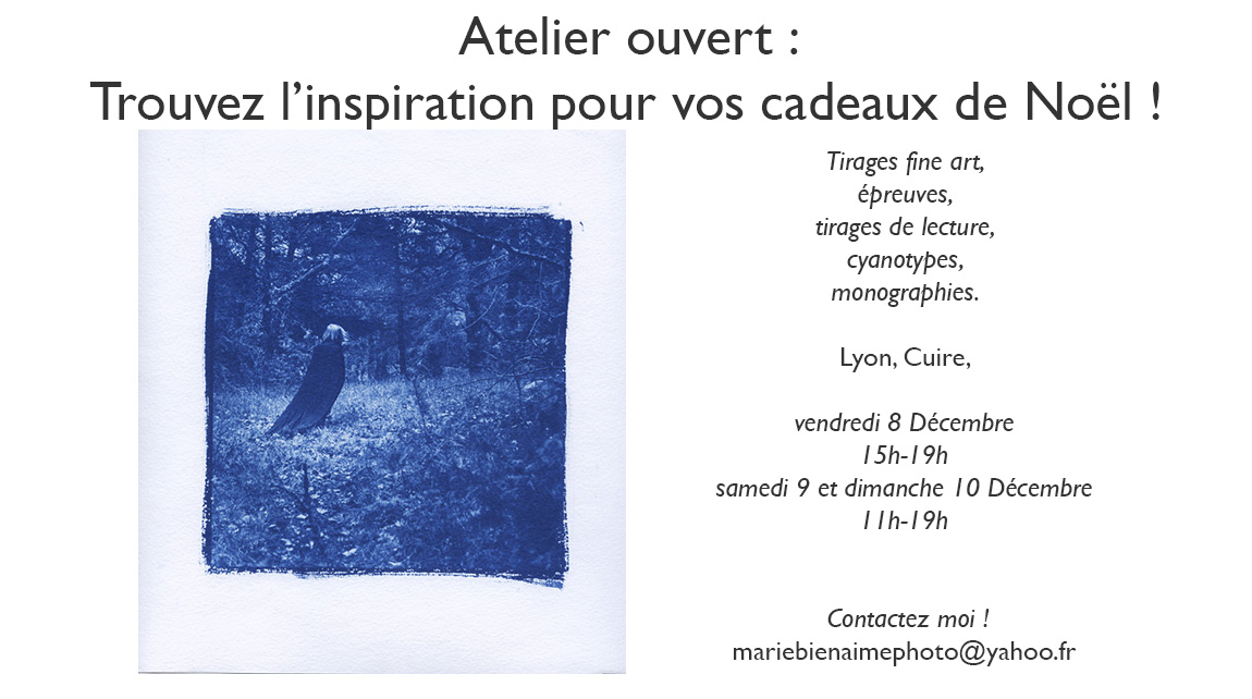 cadeaux de noël, offrez de l'art, tirages photographiques, fine art, expositions, evenement, atelier, offrez une photo, marie bienaime, photographe professionnel lyon