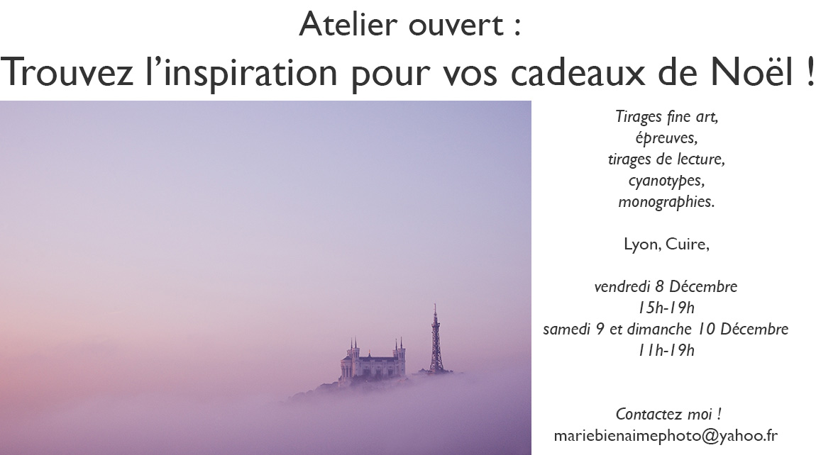 cadeaux de noël, offrez de l'art, tirages photographiques, fine art, expositions, evenement, atelier, offrez une photo, marie bienaime, photographe professionnel lyon
