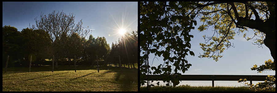 Marie Bienaime Photographe Lyon, artiste photographe lyon, recherche histoire, dyptiques