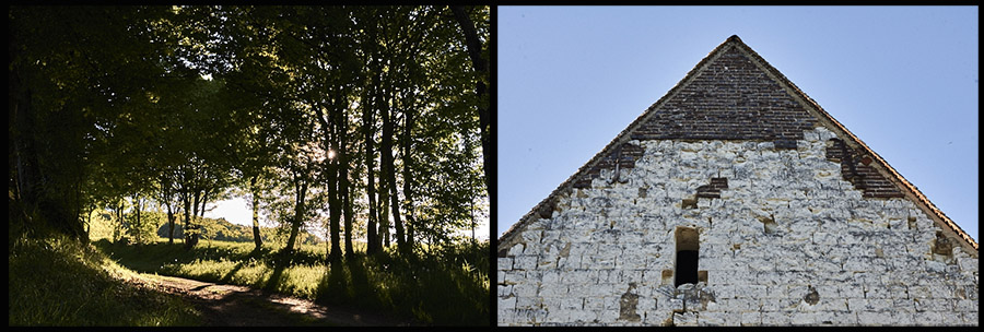 Marie Bienaime Photographe Lyon, artiste photographe lyon, recherche histoire, dyptiques