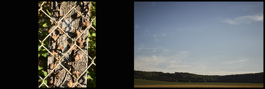 Marie Bienaime Photographe Lyon, artiste photographe lyon, recherche histoire, dyptiques