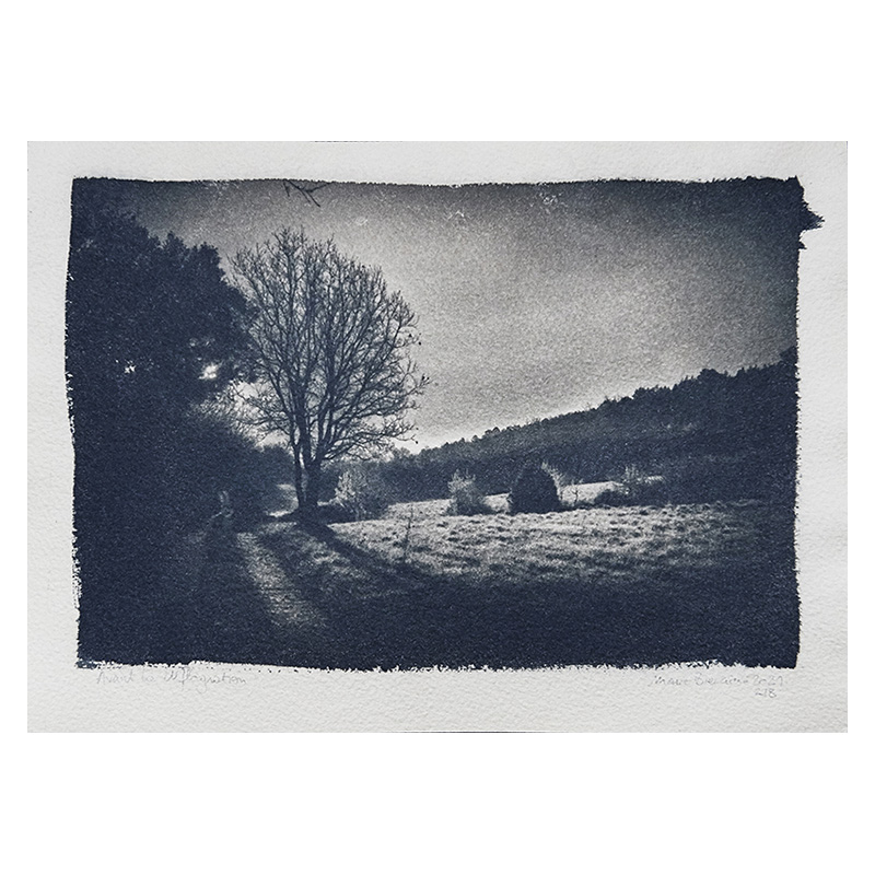 Marie bienaime, tirage cyanotype, cyanotype grand format, procedes anciens, procédés alternatifs, poesie, photographe lyon, photographe professionel lyon, artiste photographe, publication intime et avant a chabeuil, les rencontres de la photo de chabeuil, festival 2021