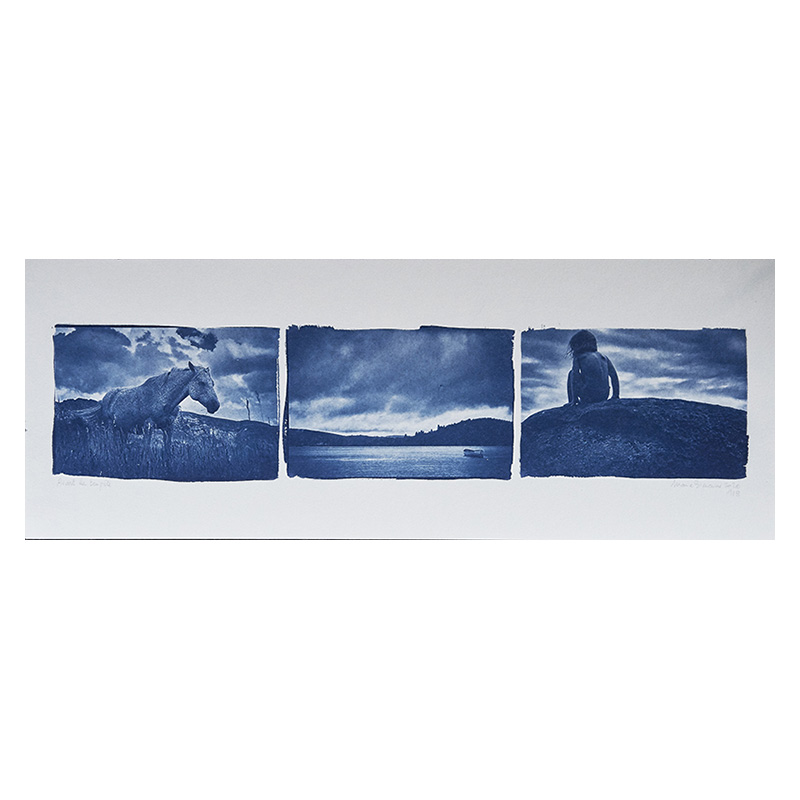 Marie bienaime, tirage cyanotype, cyanotype grand format, procedes anciens, procédés alternatifs, poesie, photographe lyon, photographe professionel lyon, artiste photographe, publication intime et avant a chabeuil, les rencontres de la photo de chabeuil, festival 2021