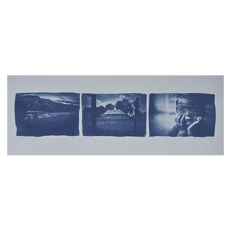 Marie bienaime, tirage cyanotype, cyanotype grand format, procedes anciens, procédés alternatifs, poesie, photographe lyon, photographe professionel lyon, artiste photographe, publication intime et avant a chabeuil, les rencontres de la photo de chabeuil, festival 2021