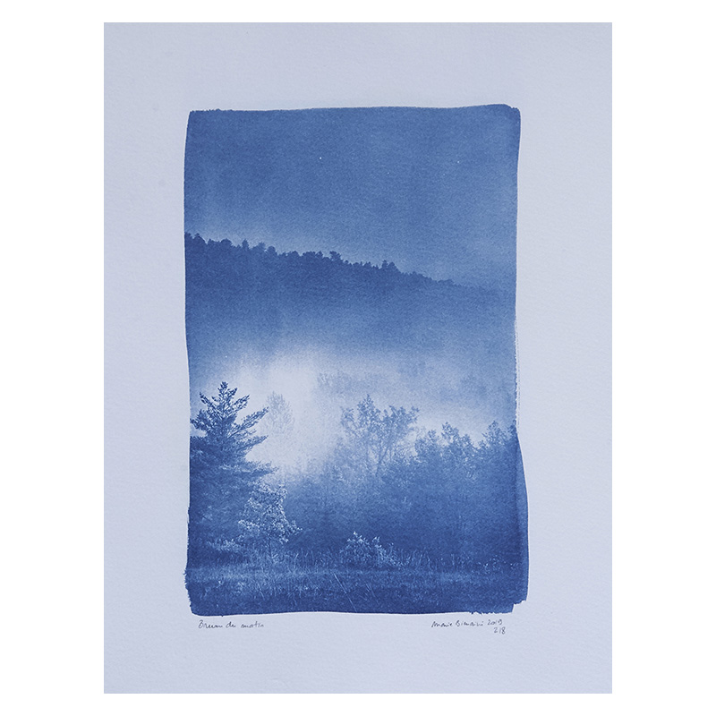 Marie bienaime, tirage cyanotype, cyanotype grand format, procedes anciens, procédés alternatifs, poesie, photographe lyon, photographe professionel lyon, artiste photographe, publication intime et avant a chabeuil, les rencontres de la photo de chabeuil, festival 2021