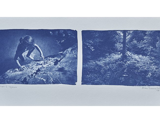 marie bienaime, photographe professionnel lyon, photographe lyon, artiste photographe, cyanotype, nouvelles, art, mailing, expositions, festivals photo, presence(s) photographie, galerie courcelles, corridor elephant, france photo, fédération photographique de france
