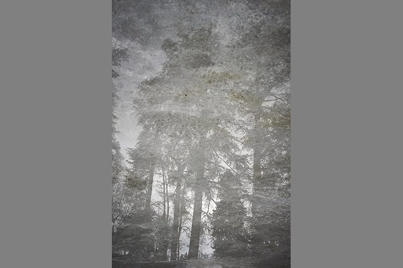 artiste en résidence, photographe institutionnel, marie bienaime photographe lyon, Enedis